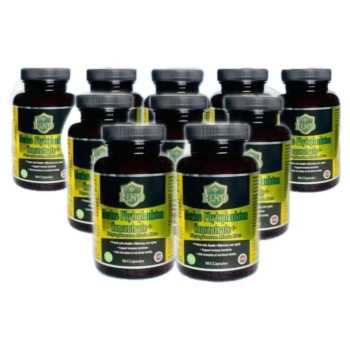 凯英德单细胞海藻浓缩精华（升级款）10 瓶/组