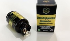 升级款 1 瓶/90 粒/组